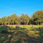5 Star In * Bogense