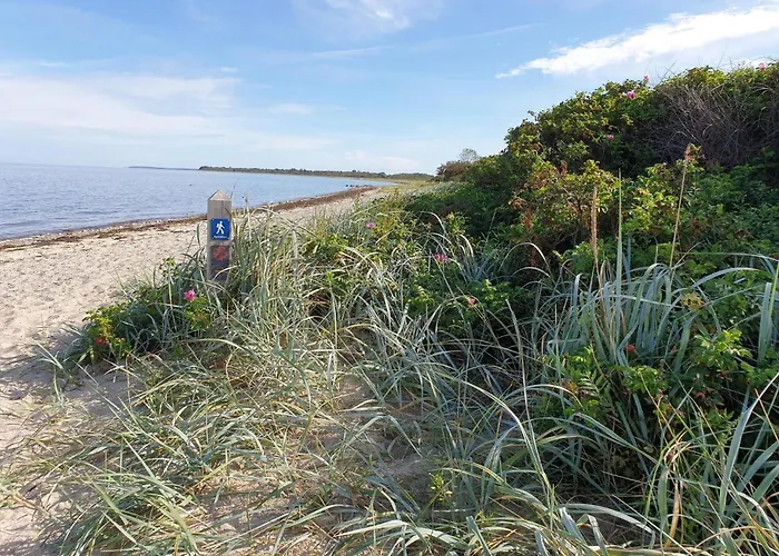 Nyaraló 5 Star In *